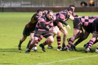 Bees v Ayr