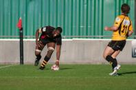 Bees v Esher
