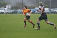 Luctonians v Bees