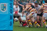 Fylde v Bees