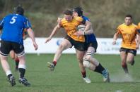 Bees v Otley