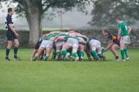 wharfedale v bees