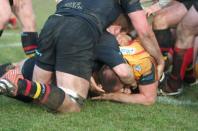 Hull v Bees