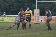 Ealing v Bees