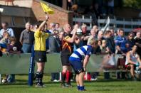 Bees v Darlington MP