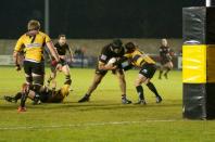 Bees v cornish pirates