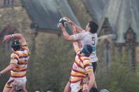 Fylde v Bees