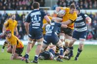 Bristol v Bees