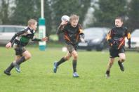 Luctonians v Bees (U12)