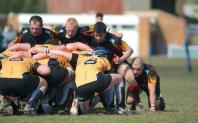 Bees v Luctonians