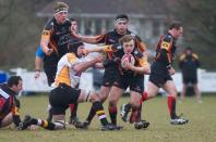 Caldy v Bees