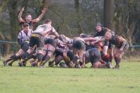 Bees v Sheffield