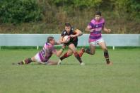 Bees v Hull