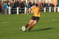 Dudley K v Bees