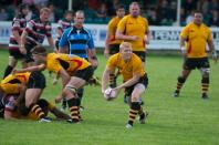 Cornish Pirates v Bees