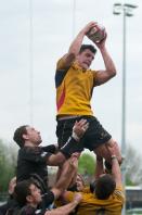 Esher v Bees (po)