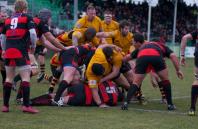 Moseley v Bees