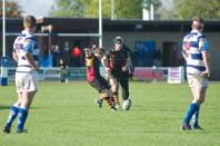 Tynedale v Bees