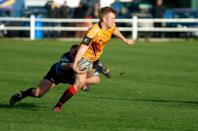 Dudley K v Bees