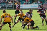 Cornish Pirates v Bees