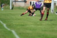 Leicester Lions v Bees