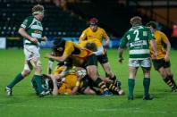 Nottingham v Bees