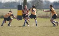 Bees v Luctonians