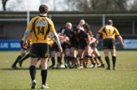 Bees v Esher (po)