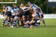 Preston v Bees
