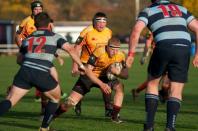Dudley K v Bees
