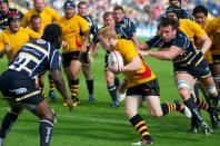 Worcester v Bees