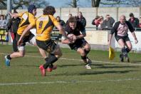 Bees v Esher (po)