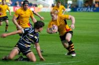 Worcester v Bees