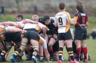 Caldy v Bees