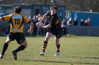 Bees v Esher (po)