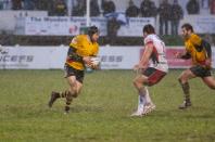 Plymouth v Bees