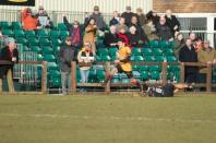 Hull v Bees