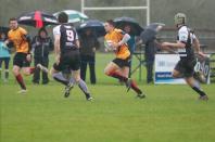 Luctonians v Bees