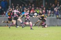 Bees v Ayr