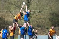 Bees v Otley