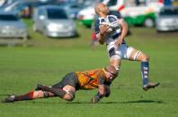 Stourbridge v Bees