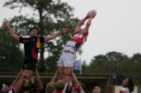 Bees v Plymouth