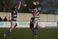 Bees v Tynedale