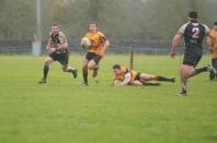 Luctonians v Bees