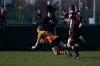 Moseley v Bees (po)