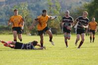 Sheffield Tigers v Bees