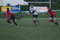 Cinderford v Bees