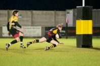 Bees v cornish pirates