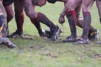 Bees v Sheffield