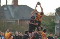Hull v Bees